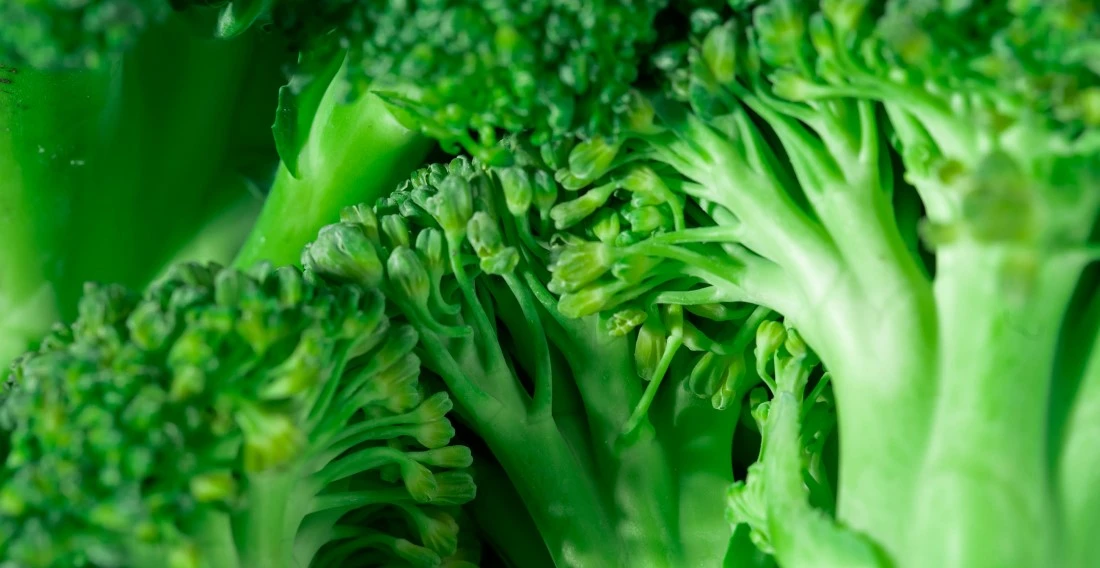 1. 1. STYLEUP_GUIDE_HEALTH_AND_BEAUTY_TIPS_ALL_ABOUT_MAGNESIUM_Green_Leafy_Vegetables_Like_Broccoli_Are_Rich_In_Magnesium.jpg